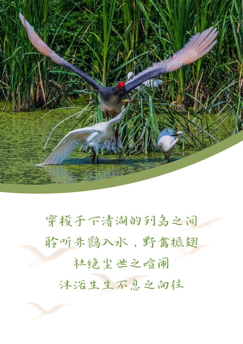 心心念廿 相伴EBpay | 与德清相约 贺廿载诞辰